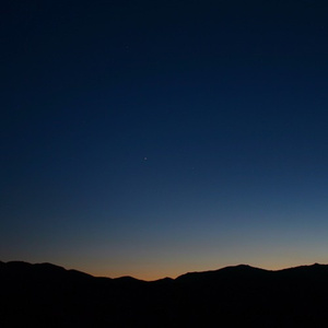 印度美女狂野性交
