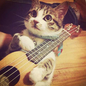 印度美女狂野性交
